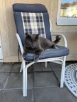 Clark 1 år