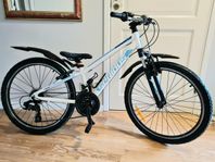 Cykel 24