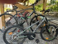 Cykel 20 tum Occano
