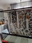 Naturligt Terrarium/Paludarium , Large X Tall