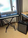 Roland G-1000 keyboard och Fender förstärkare