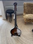 gitarr sitar danelectro