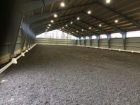 Lediga stallplatser, inga pass, 2 ridhus