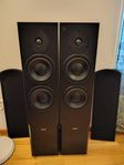 Dynaudio Audience 70 – hifi-golvhögtalare i bra skick