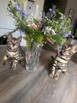 Bedårande bengal kattungar - fina föräldrar- redo för fl