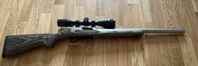 Ruger 10/22