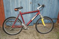 Mountainbike RD