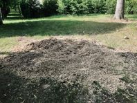 Träflis bortskänkes 