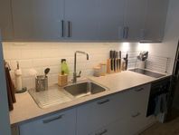 Underlimmad diskho Intra infälld i laminatskiva