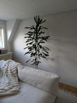 Grönväxt Palm - 200cm + kruka