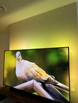 Philips 75” The One PUS8848 4K LED Ambilight Smart TV (202