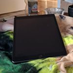 iPad 10,2"[2020] 128 GB med passande Tangentbord tillrd