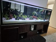 akvarium 720l