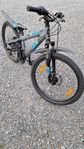 Scott Voltage Jr 24 tum
