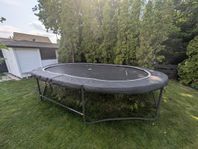 Oval Studsmatta (från trampolin specialisten)