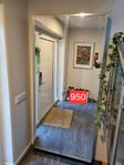 Högkvalitativ spegelskåp i full storlek