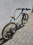 2022 Scott Scale 965 (29" hjul, storlek M)