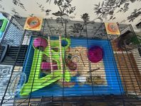 söta hamster