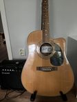 Levin gitarr