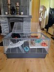 Hamsterburar