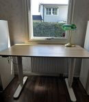 Höj- och sänkbart skrivbord med stol