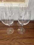 vin glas 