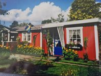 Koloni med arrende