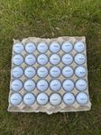 30st Srixon Golfbollar