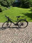 NISHIKI PRO SLD DAM SOM NY! 
