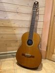 Tapa Maciza Artesania Admira Solista Keller Solid Top Gitarr