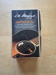 LR Baggs mik till ak.gitarr 
