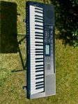 Casio Keyboard