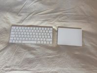 Apple Magic Keyboard + Magic Trackpad