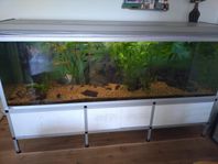 720 tank 
