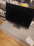 Dell 24 tum P2421 
