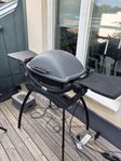 Weber elgrill