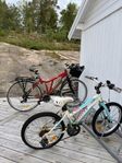 Damcykel & barncykel