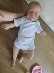 realborn docka