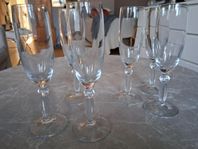 champagneglas
