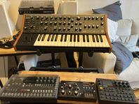 Moog Subsequent 37 mm