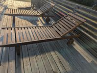 Solsängar