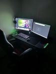 Gamingsetup med Ryzen 5 och ett GTX 1070 Ti