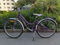 24" DBS Barncykel