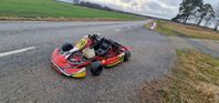 gokart rotax 125cc maranello senior 