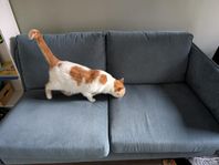 Bortskänkes soffa från Mio