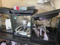 akvarium 