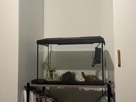 akvarium till salu