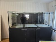 akvarium 1120 liter
