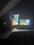 Grym SharkGaming-dator + 2 skärmar + gamingtillbehör