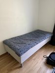 Single Bed & Mattress